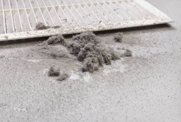 Best HVAC Duct Inspection Services  in Harlem, GA