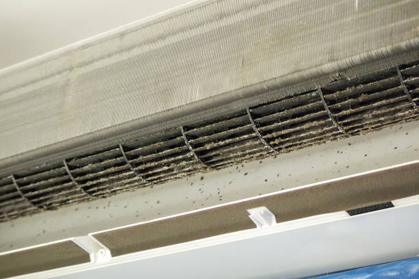 Best Professional Duct Cleaning Services  in Harlem, GA